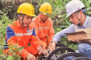 Gallery - Báo Tết hàng ngày 2021 - image 19