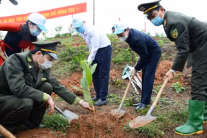 Gallery - Tết bình an - image 15