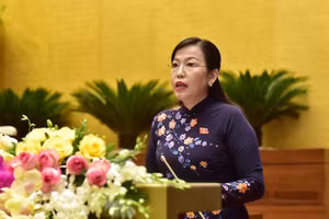 Gallery - Kỳ họp thứ chín Quốc hội khóa XIV - image 17