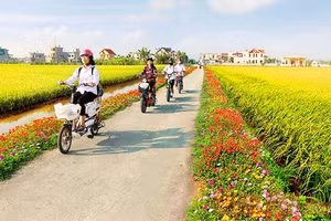 Gallery - Ý kiến người dân - image 15