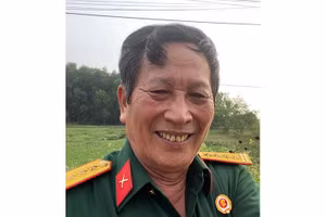 Kết hợp hài hòa giữa đầu tư trong nước và đầu tư trực tiếp nước ngoài