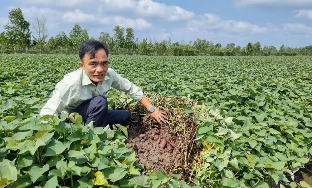 vinh-long-3.jpg