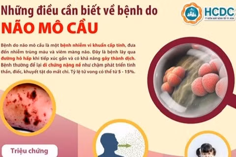 Tài liệu truyền thông về những điều cần biết về bệnh do não mô cầu. (Ảnh: Minh họa)