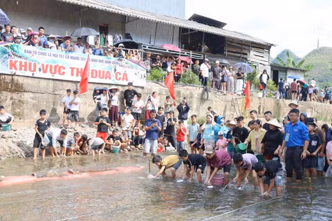 Đua cá là một trong những hoạt động đặc sắc trong Lễ hội Tết cá của người Tày ở xã Mậu Duệ, tỉnh Tuyên Quang. (Ảnh: KHÁNH TOÀN)