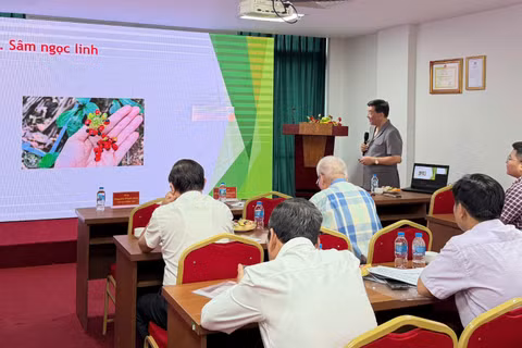 Các đại biểu báo cáo nghiên cứu về dược liệu tại Việt Nam. (Ảnh: HOÀNG MAI)