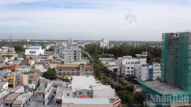 ndo_br_anh-5.jpg