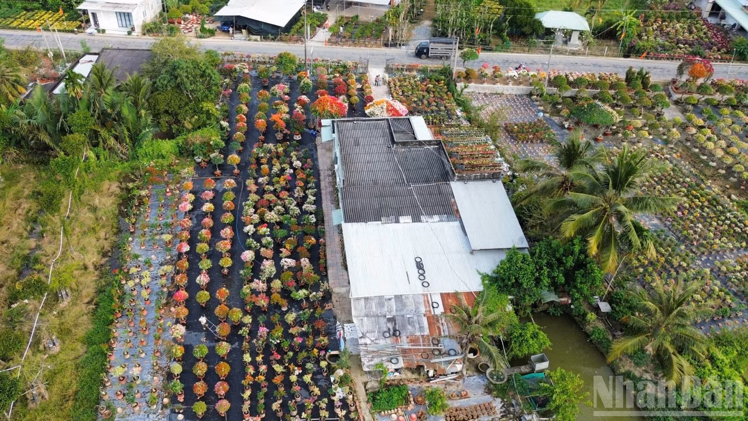 ndo_br_6-12.jpg