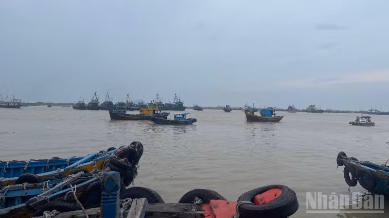 Cửa biển La Gi thường xuyên bồi lắng.