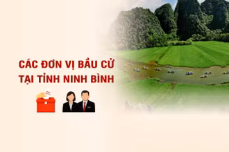 [Infographic] Các đơn vị bầu cử đại biểu Quốc hội tại tỉnh Ninh Bình