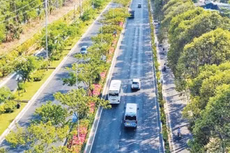 Mầu xanh đô thị đường 3/2, thành phố Vũng Tàu.