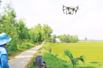 Nông dân tỉnh Trà Vinh sử dụng thiết bị không người lái bón phân cho ruộng lúa.