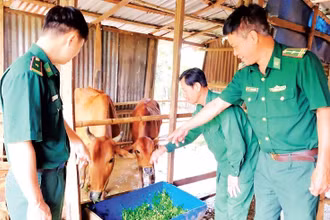Cán bộ Đồn Biên phòng Đắk Ơ thăm hỏi các hộ dân được tặng bò giống.