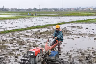 Nông dân ở xã Lộc Hà, tỉnh Hà Tĩnh làm đất gieo cấy lúa vụ hè thu-mùa. (Ảnh: Đăng Khoa)