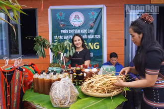 Huyện Tu Mơ Rông phát triển đa dạng các sản phẩm từ dược liệu.