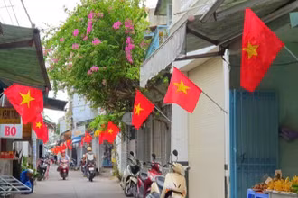 Cờ Tổ quốc đã được treo tại các khu phố ở Cần Thơ.