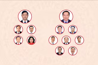 [Infographic] Các chức danh lãnh đạo chủ chốt của Hội đồng nhân dân, Ủy ban nhân dân Thành phố Hồ Chí Minh nhiệm kỳ 2026-2031
