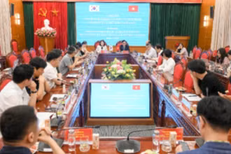 Quang cảnh
