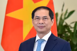Đồng chí Bùi Thanh Sơn, Ủy viên Trung ương Đảng, Phó Thủ tướng Chính phủ, Bộ trưởng Ngoại giao.