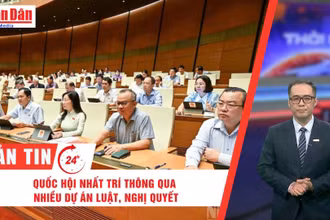 [Video] Thời sự 24h ngày 24/6/2025: Quốc hội nhất trí thông qua nhiều Dự án Luật, Nghị quyết