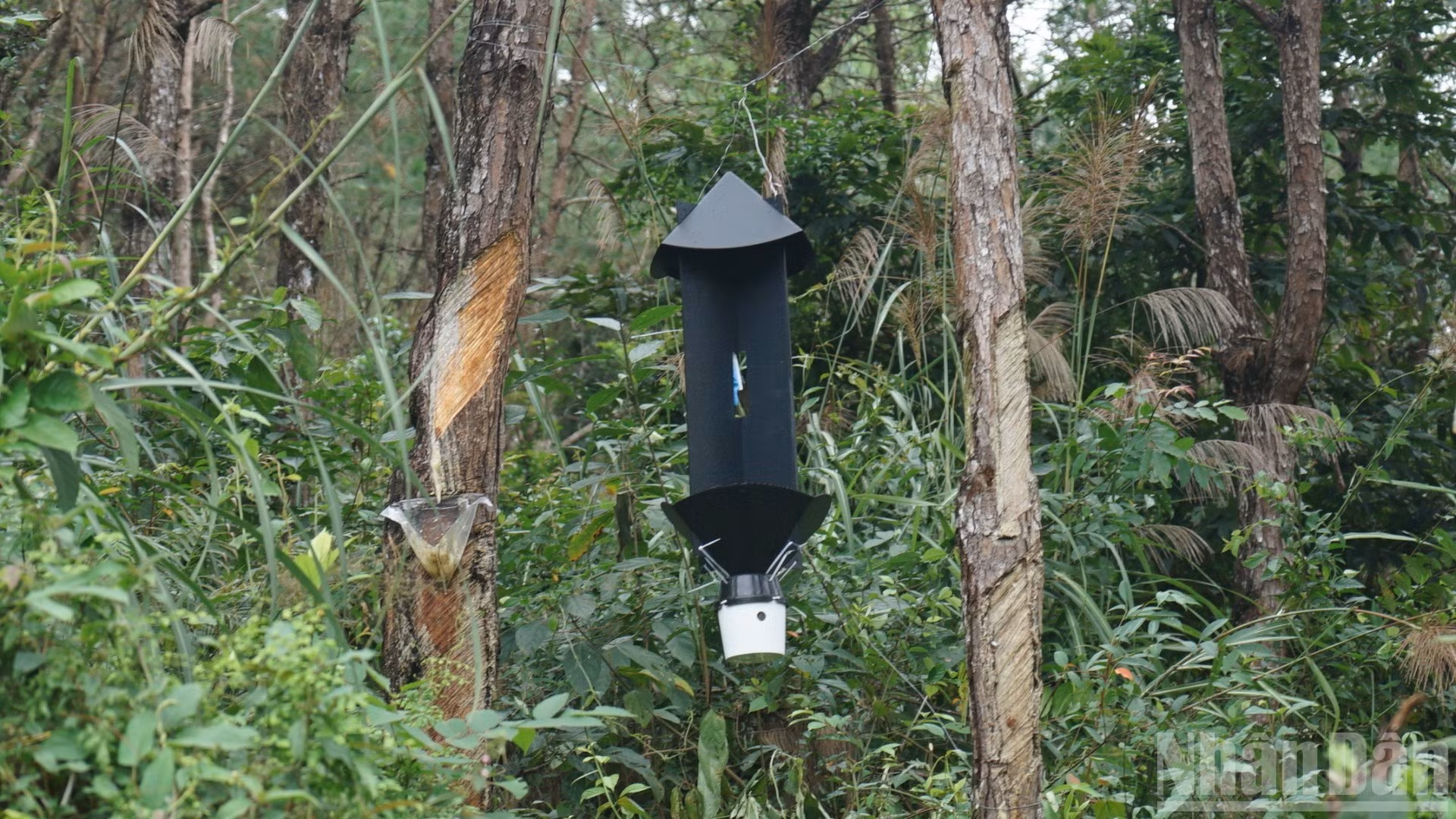 ndo_br_dsc03871-8218.jpg