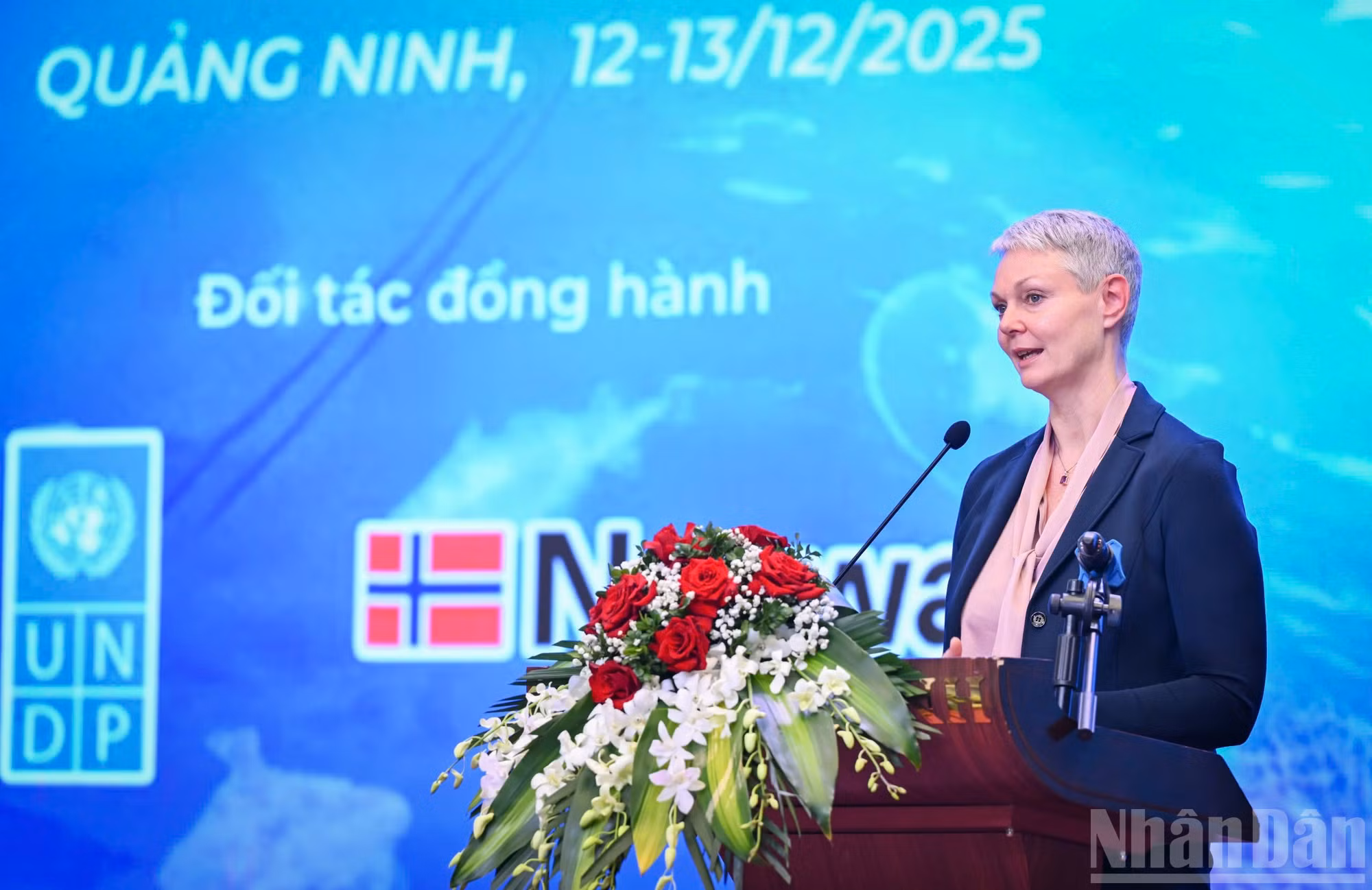 ndo_br_z7319435530895-d2fcfc2c54a34bdea417c57dc25da365.jpg