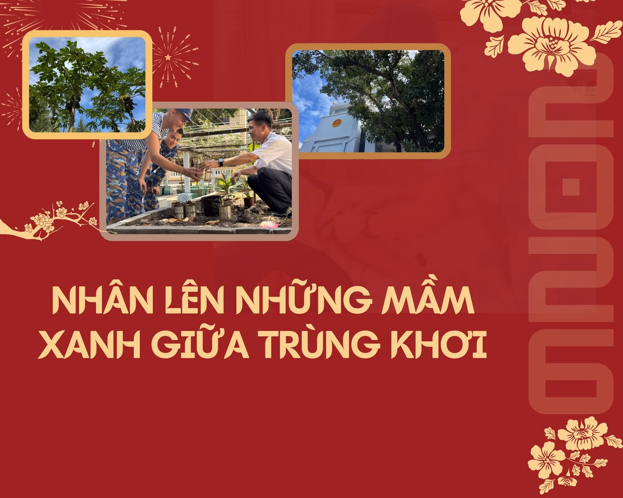 Nhân lên những mầm xanh giữa trùng khơi