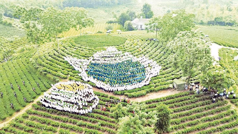 Nhân dân xã Vô Tranh cùng đội nón lá xếp mô hình ấm trà trên đồi chè được xác lập kỷ lục Việt Nam về số người tham gia đông nhất.