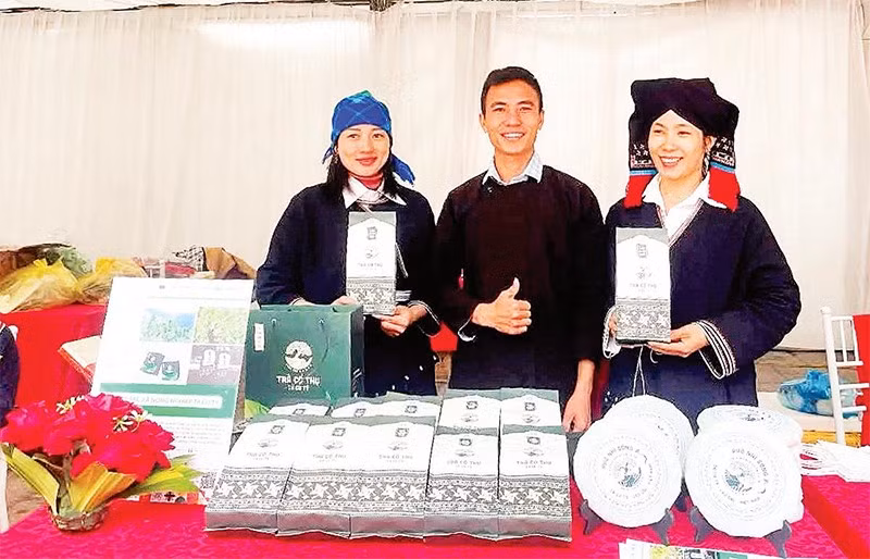 Sản phẩm được chế biến từ cây chè Shan tuyết cổ thụ Tả Củ Tỷ có giá trị kinh tế cao.