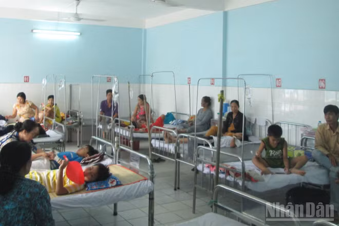An Giang gia tăng số ca bệnh sốt xuất huyết.