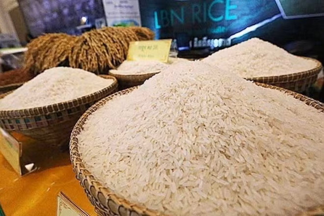Campuchia có nhiều giống gạo ngon được thị trường quốc tế ưa chuộng. (Ảnh: Khmer Times)