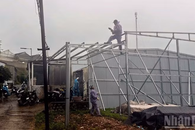 Lực lượng chức năng cưỡng chế, phá dỡ các công trình không có giấy phép xây dựng trên địa bàn phường Xuân Trường-Đà Lạt, tỉnh Lâm Đồng.