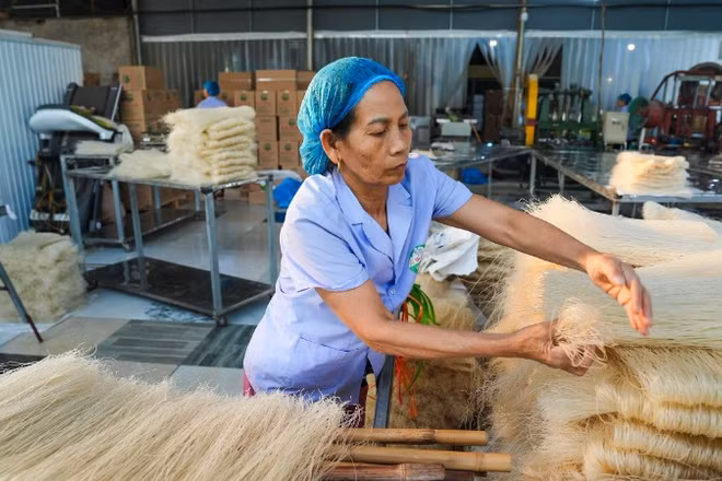 Hợp tác xã Mì gạo Hùng Lô (Phú Thọ) bận rộn cho những đơn hàng dịp cuối năm.