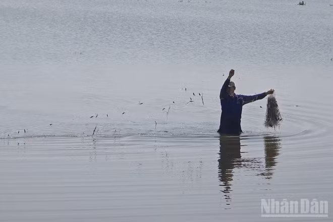 Nông dân An Giang đánh bắt thủy sản bằng ngư cụ truyền thống.