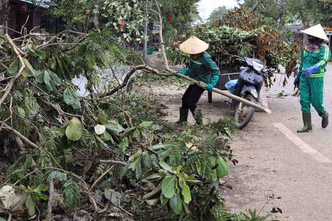 Công ty Cổ phần Môi trường và Công trình đô thị Nghệ An huy động hơn 600 công nhân, lao động và gần 100 phương tiện thu gom rác thải.