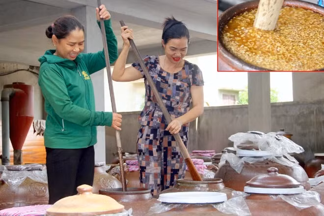 Tương Nam Anh được Ủy ban nhân dân tỉnh Nghệ An công nhận sản phẩm OCOP 4 sao.