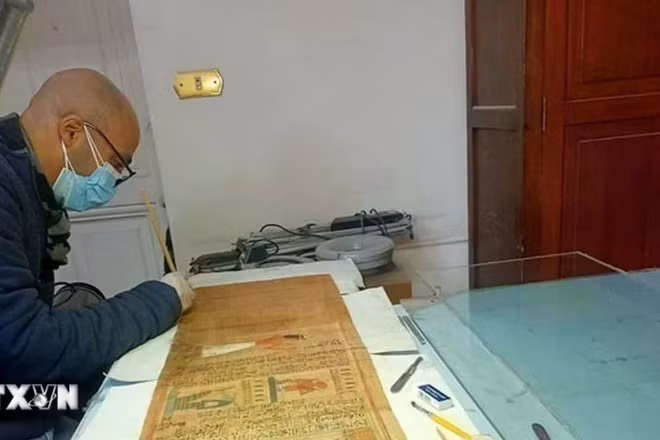 Chuyên gia Phòng thí nghiệm Bảo tồn Giấy cói của bảo tàng đang phục chế cuộn giấy cói của người ghi chép User-Hat-Mes. (Ảnh: TTXVN)