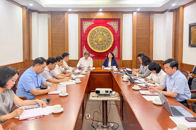Đẩy mạnh công tác chuẩn bị Liên hoan Phim quốc tế Hà Nội lần thứ VIII