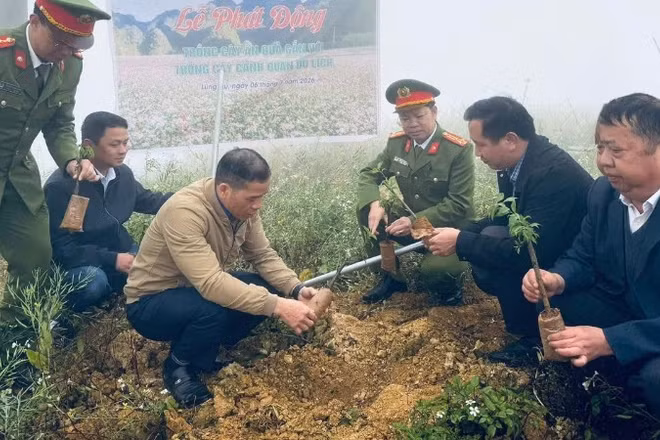 Xã Lũng Cú, tỉnh Tuyên Quang tổ chức phát động trồng cây ăn quả gắn với phát triển du lịch xanh.
