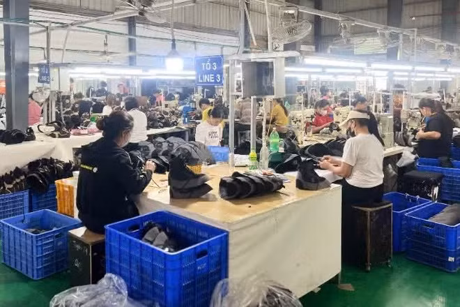 Khu vực kinh tế tư nhân đang được tạo điều kiện tiếp cận tốt hơn các nguồn lực phục vụ sản xuất, kinh doanh. (Ảnh: MINH PHƯƠNG)