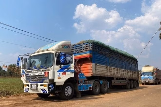 Xe hàng hóa ở cửa khẩu Tây Ninh. (Ảnh: VGP)