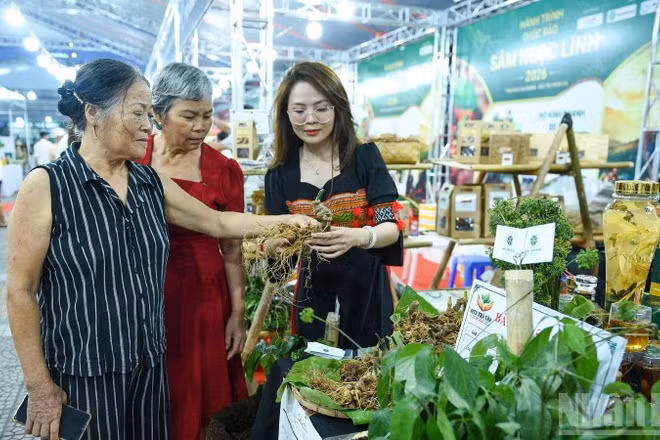Sâm Ngọc Linh tiếp cận gần hơn với người tiêu dùng.