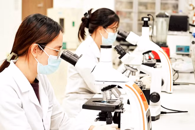 Nghiên cứu các chủng vi sinh có hoạt tính sinh học cao phục vụ sản xuất nông nghiệp trong phòng thí nghiệm của Tập đoàn Sinh học AQ. (Ảnh: THẾ ĐẠI)