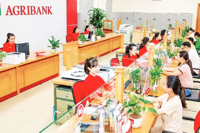 Giao dịch khách hàng tại Agribank chi nhánh Bắc Thanh Hóa.