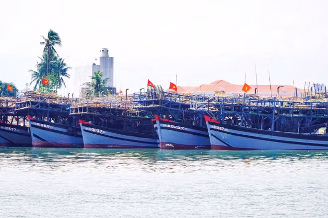 Hàng loạt tàu cá công suất lớn của các xã phía nam thành phố Đà Nẵng nằm bờ do giá xăng, dầu tăng cao.