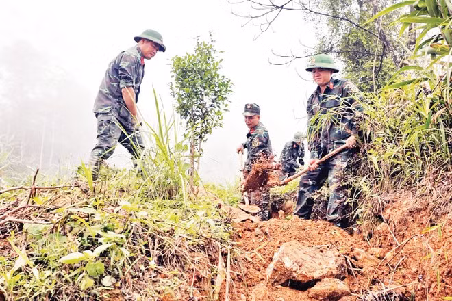 Đội tìm kiếm, quy tập hài cốt liệt sĩ đào hào tìm dấu vết liệt sĩ trên các điểm cao tại thôn Hoàng Lỳ Pả, xã Minh Tân, tỉnh Tuyên Quang.