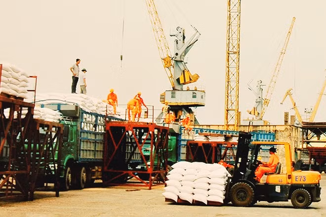 Xuất khẩu gạo năm 2025 có thể đạt 8,2 triệu tấn 