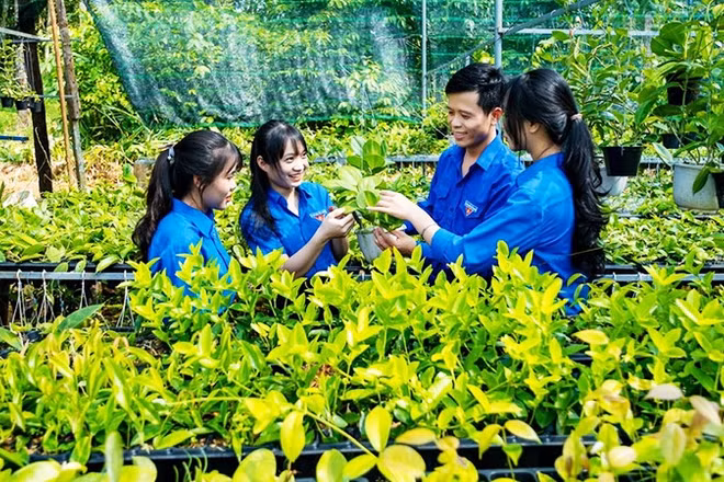 Anh Phúc chia sẻ kinh nghiệm trồng hoa cẩm cù với các đoàn viên, thanh niên địa phương.