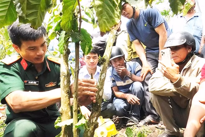 Thiếu tá Lê Quốc Dũng hướng dẫn người dân xã Cư Pui kỹ thuật chăm sóc cây cà-phê mang lại hiệu quả cao.