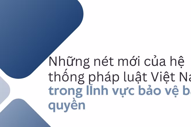 Những nét mới của hệ thống pháp luật Việt Nam trong lĩnh vực bảo vệ bản quyền