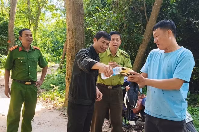 Ngành chức năng tiến hành thả chim cao cát về tự nhiên. (Ảnh: Chi cục Kiểm lâm An Giang cung cấp)